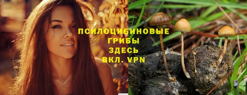 Галлюциногенные грибы Magic Shrooms  Павловский Посад 